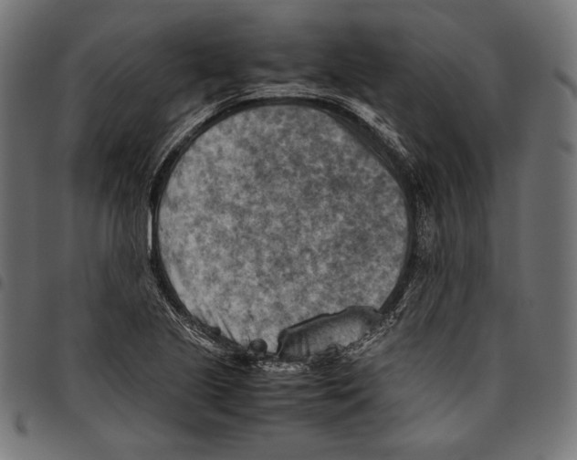 X0000094801221200712141645
