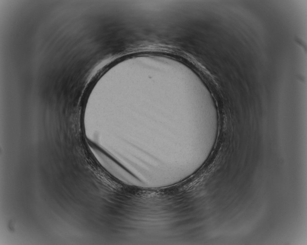 X0000094801222200712141645