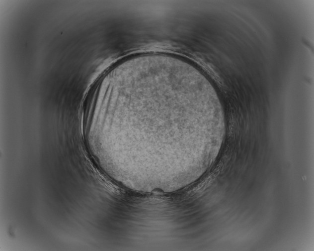 X0000094801224200712141645