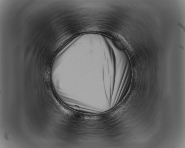 X0000094801225200712141645