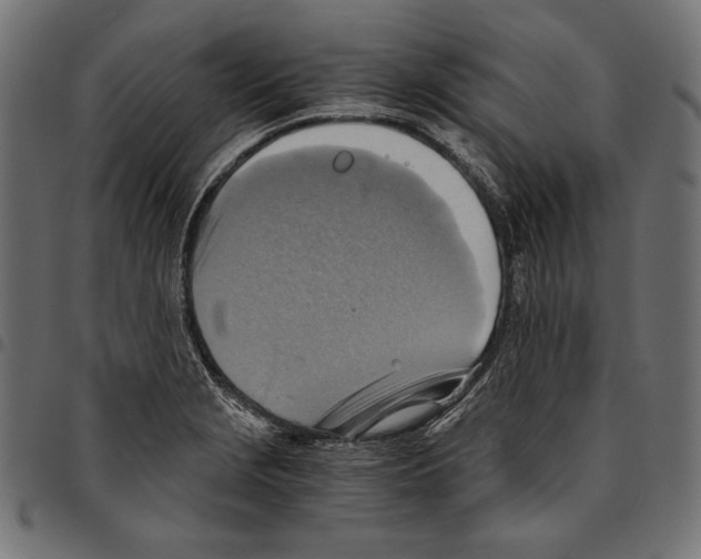 X0000094801229200712141645