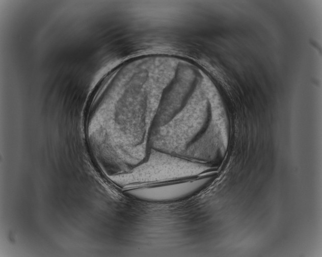 X0000094801230200712141645