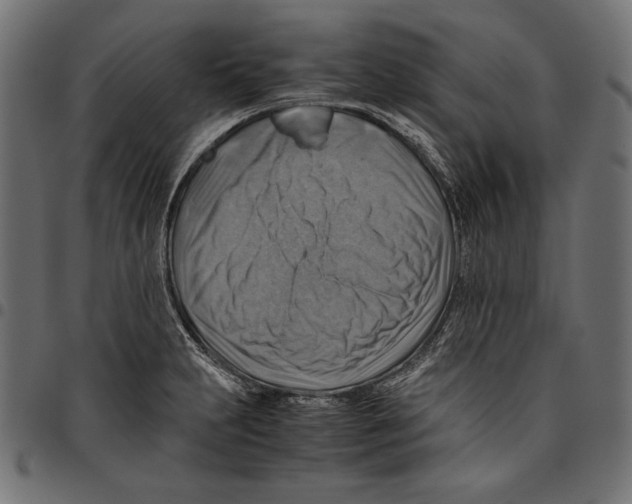 X0000094801231200712141645