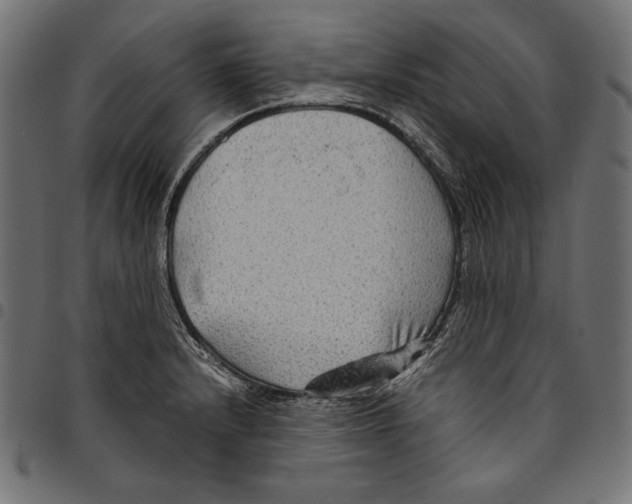 X0000094801232200712141645