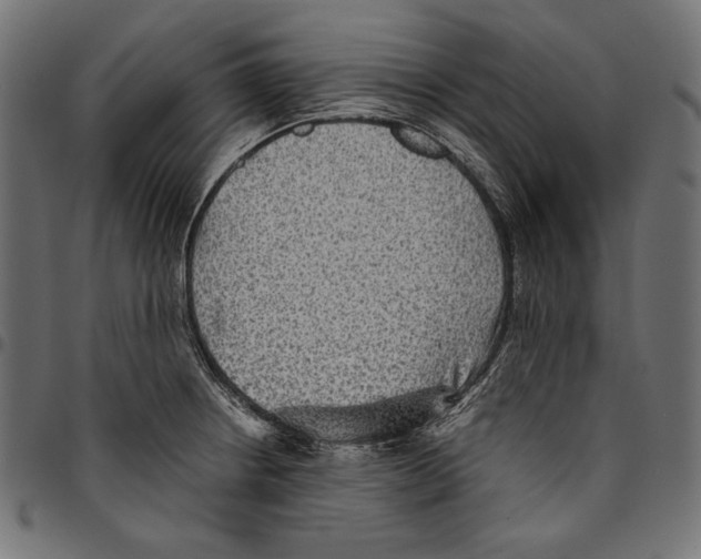 X0000094801234200712141645