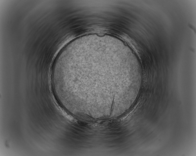 X0000094801235200712141645