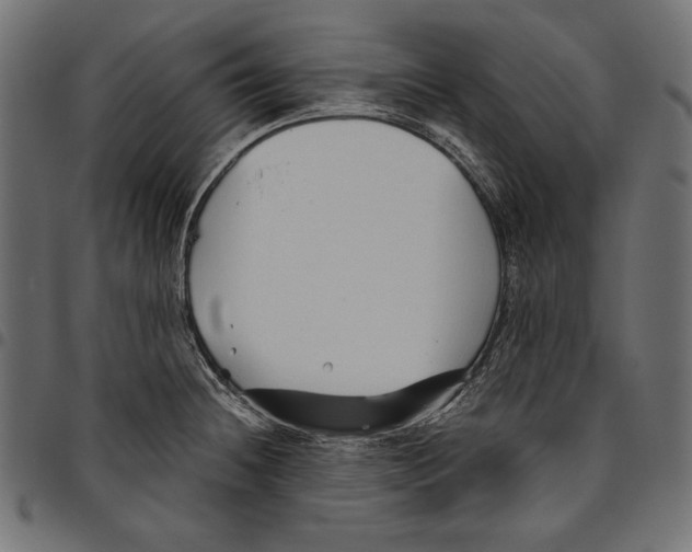 X0000094801236200712141645