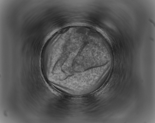 X0000094801237200712141645