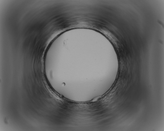 X0000094801238200712141645