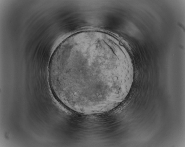 X0000094801239200712141645