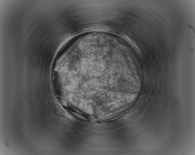 X0000094801240200712141645