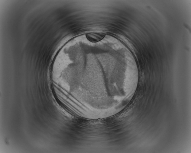 X0000094801243200712141645