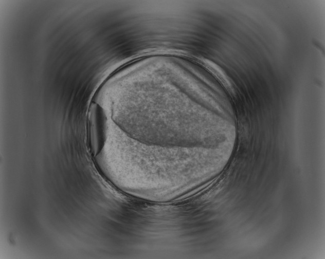 X0000094801244200712141645