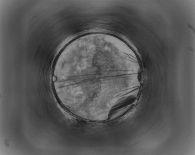 X0000094801245200712141645