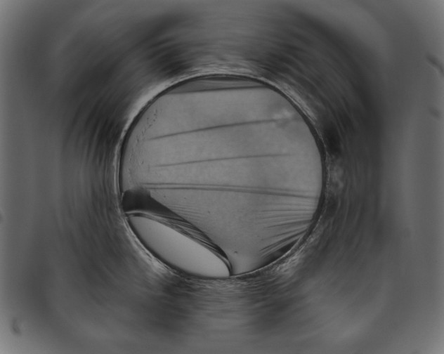 X0000094801246200712141645