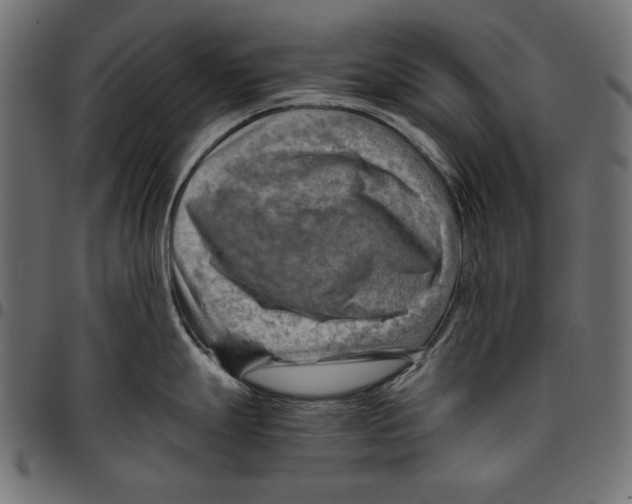 X0000094801247200712141645