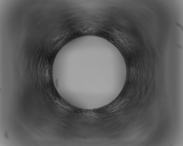 X0000094801250200712141645