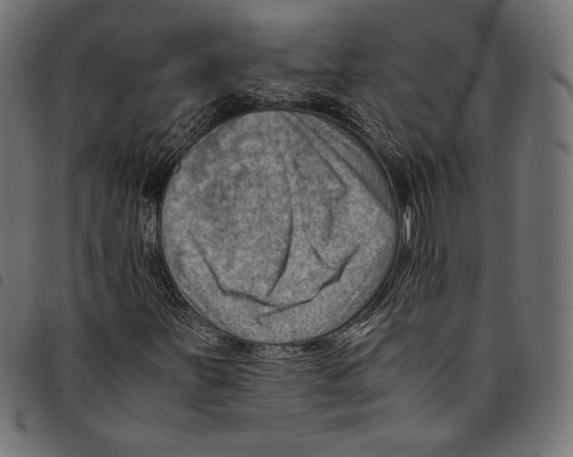 X0000094801251200712141645