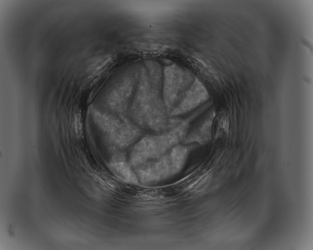 X0000094801252200712141645