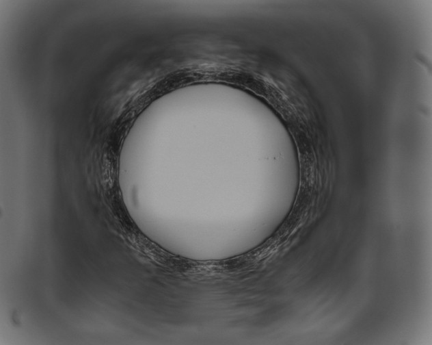 X0000094801253200712141645