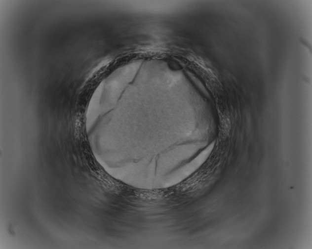 X0000094801254200712141645