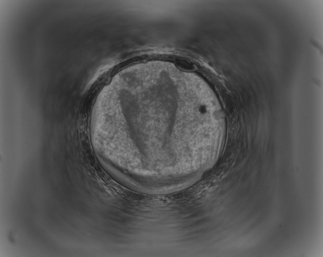 X0000094801255200712141645