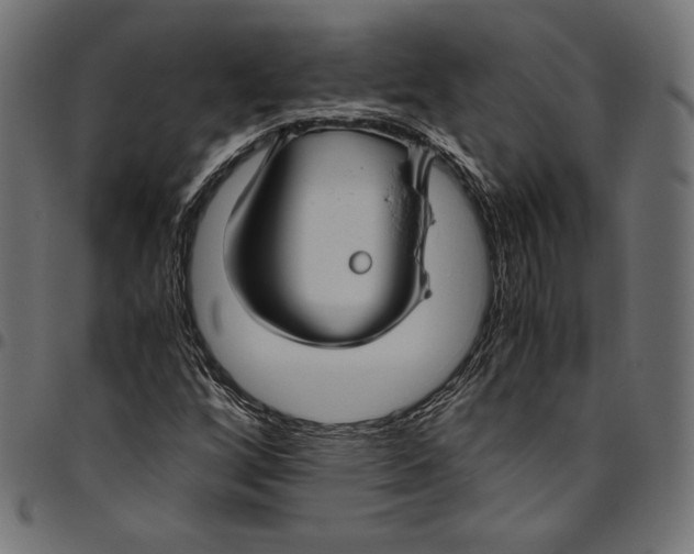 X0000094801256200712141645