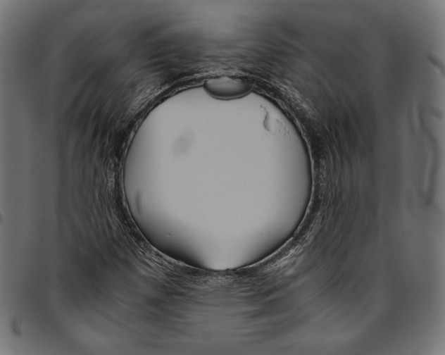 X0000094801257200712141645