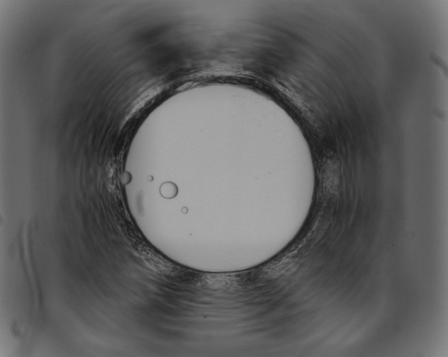 X0000094801258200712141644