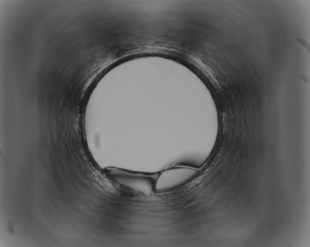 X0000094801260200712141644