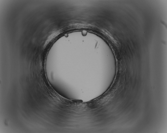 X0000094801261200712141644