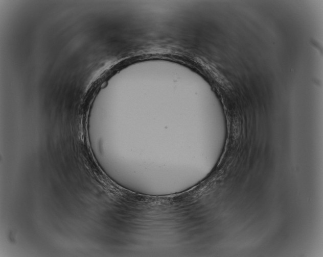 X0000094801262200712141644