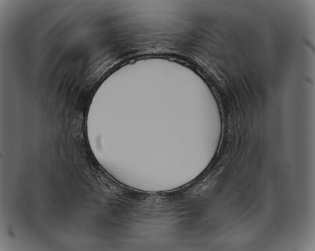 X0000094801265200712141644