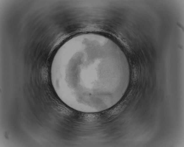 X0000094801266200712141644