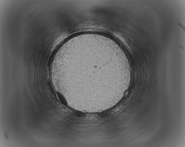 X0000094801267200712141644