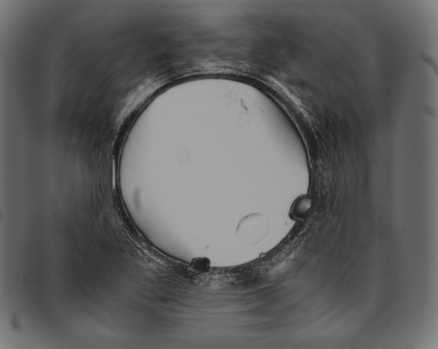 X0000094801269200712141644