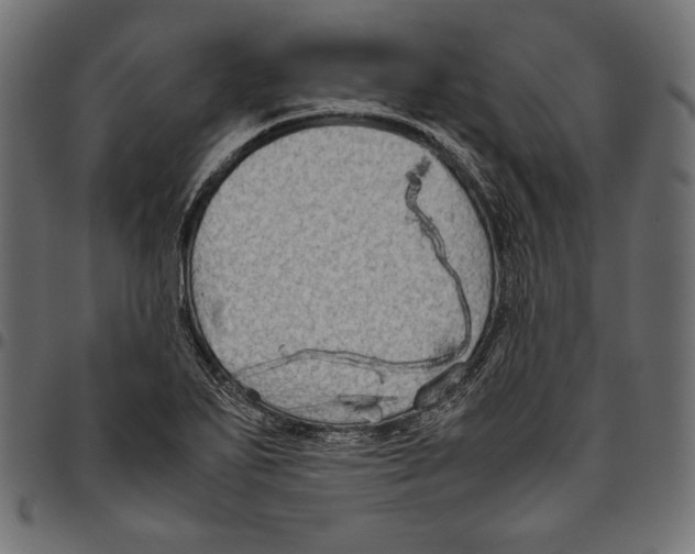 X0000094801271200712141644