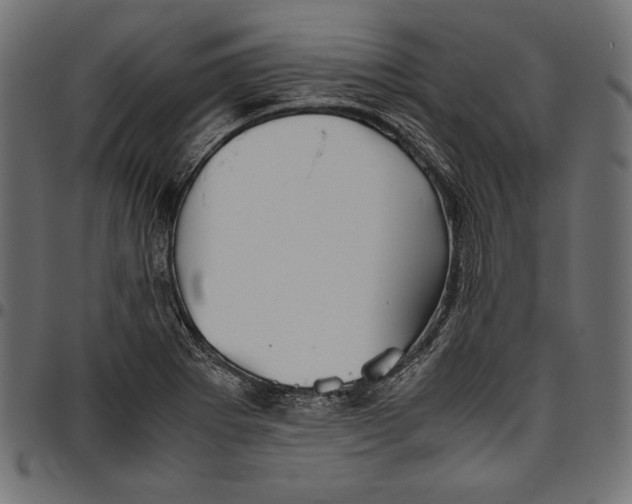 X0000094801273200712141644