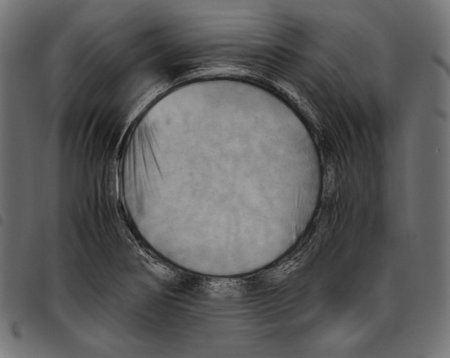 X0000094801274200712141644