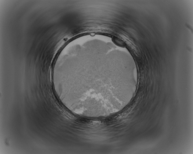 X0000094801275200712141644