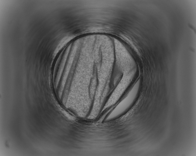 X0000094801277200712141644