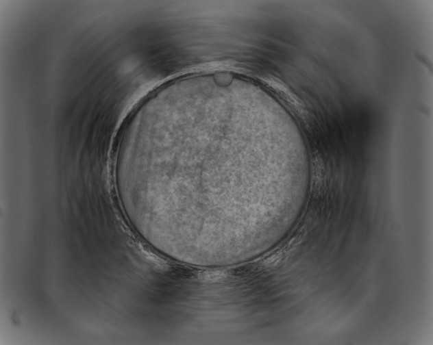 X0000094801278200712141644