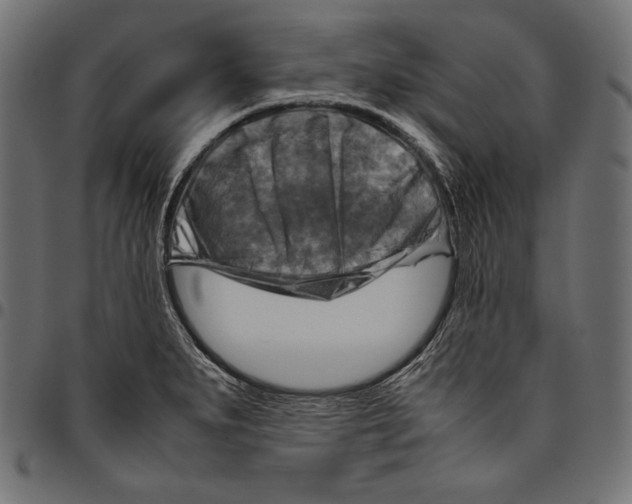 X0000094801279200712141644