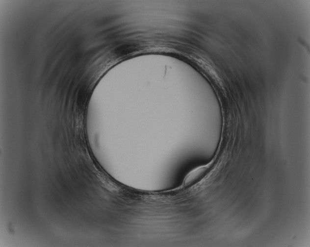 X0000094801281200712141644