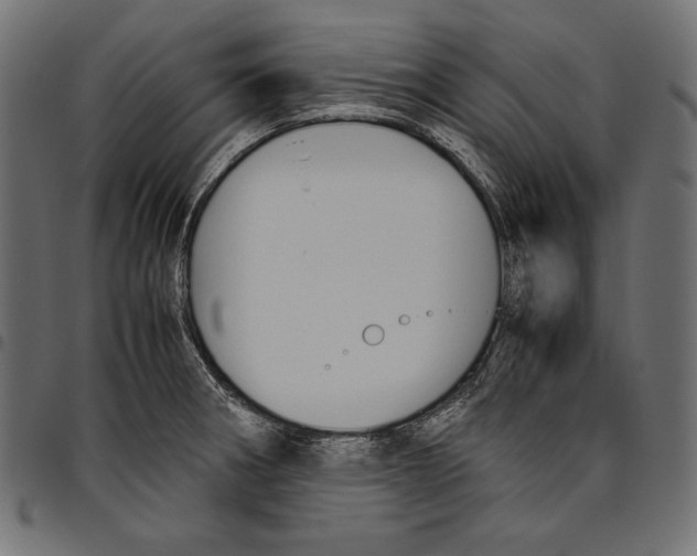 X0000094801282200712141644