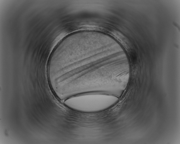 X0000094801283200712141644