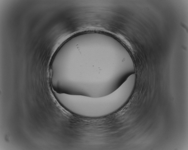 X0000094801287200712141644