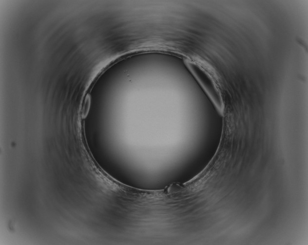 X0000094801288200712141644