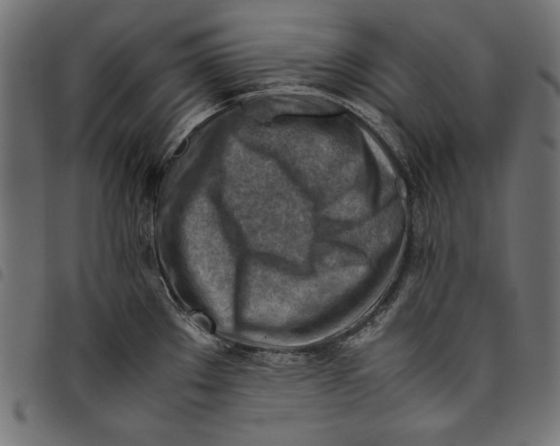 X0000094801289200712141644