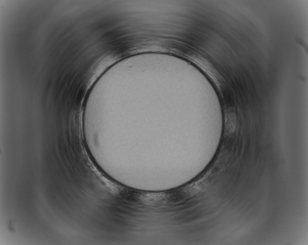 X0000094801290200712141644